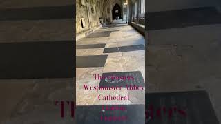 The Cloisters at Westminster Abbey Cathedral londonengland england travelvlog travel [upl. by Rossen150]