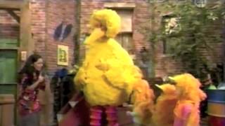 Sesame Street  Leelas Sesame Street video [upl. by Robma468]