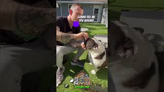 Truth About Hyperkeratosis Treatable but Not Curable PetCare dog [upl. by Dronel355]