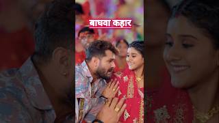 Khesari Lal New Song दुर्गा पुजा 🙏 बाघवा कहार viralvideo khesari khesarilalyadav trendingshorts [upl. by Weinstein805]