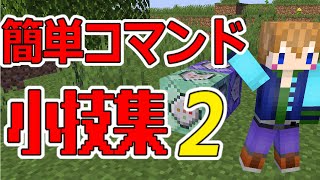 【スイッチ対応】超簡単！コマンド初心者でも出来る小技集【マイクラコマンド】 [upl. by Trilbee]