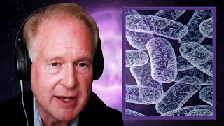 Robert Lustig on Mitochondria and Cell Renewal [upl. by Laurel]