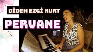 Didem Ezgi Kurt  PERVANE  Özdemir Erdoğan Cover Video [upl. by Einnoc101]