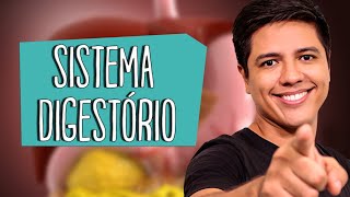 SISTEMA DIGESTÓRIO  Anatomia e Fisiologia  Prof Kennedy Ramos [upl. by Ltsyrk34]