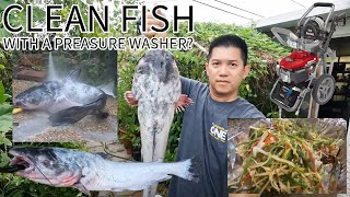 Cleaning a Catfish with a Pressure Washer Steamed for Dinner [upl. by Katha]