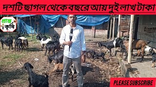 দশটি ছাগল থেকে বছরে আয় দুই লাখ টাকা প্রান্ত কৃষি প্রতিবেদন ২০২৪ [upl. by Aleksandr]