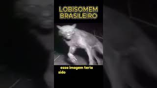 O LOBISOMEM REAL FILMADO POR CÂMERA DE SEGURANÇA [upl. by Branca]