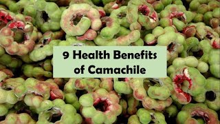 9 Health Benefits of Camachile [upl. by Cherish]