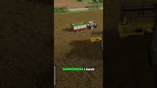 Harvesting Sorghum Speed and Efficiency at Its Finest [upl. by Christiana]