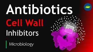 Antibiotics  Cell Wall Inhibitors  Microbiology  Basic Science Series [upl. by Dickinson500]