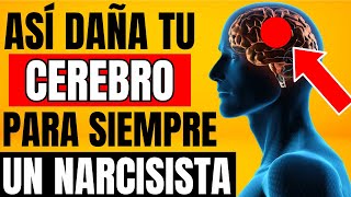 Los DAÑOS CEREBRALES Tras Sufrir ABUSO NARCISISTA  Salud mental y Psicología [upl. by Merta]