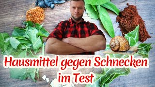 7 Hausmittel gegen Schnecken im Test🐌 [upl. by Odlanra]