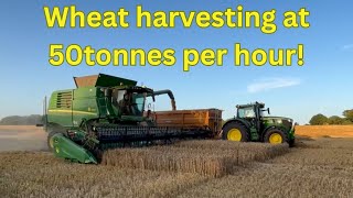 Harvest 2024 Episode 10  110824 Fast Harvesting Wheat 50THr [upl. by Teplica19]