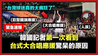 韓國記者第一次看到台灣球迷連續兩小時大合唱應援，驚訝不已的原因 [upl. by Atnamas]