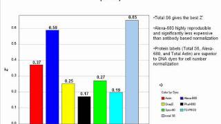 Use of the InCell Western Assay on RNAi Screens and RNAi Knockdowns NIR Cellbased Imaging [upl. by Sesilu]