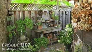 Growing a Greener World episode 1207  Small Space Gardening [upl. by Devaj]