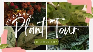 PLANT TOUR l Automne 2022 l 170 Plantes [upl. by Wong]