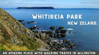 Amazing Walk in Whitireia Park  Porirua  Wellington  New Zealand  4K [upl. by Drofnil]