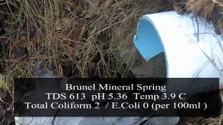 Brunel Mineral Spring  Huntsville Ontario Natural Spring Water [upl. by Dahij]