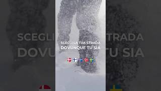 Corsi Progressivi Trimestrali ONLINE di Lingue Nordiche 🇩🇰🇫🇮🇮🇸🇳🇴🇸🇪 [upl. by Naneek788]