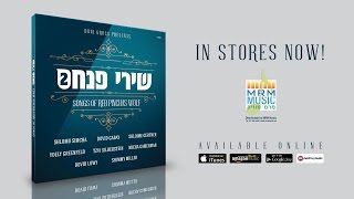 Shirei Pinchas 2 Album Sampler [upl. by Nama]