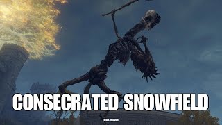 Consecrated Snowfield Death Rite Bird Location amp Boss Fight  Elden Ring [upl. by Raimondo213]