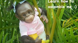 How to assemble a Chimpanzee Reborn Monkey Baby  Miracle Babies Newborn Nursery [upl. by Oiragelo]