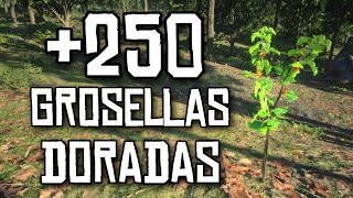 Ubicación Grosella Dorada  Red Dead Redemption 2 [upl. by Azyl]