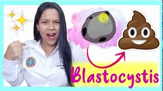 🌟💩 Blastocystis spp MORFOLOGÍA 👍 ¡Parasitología [upl. by Eioj]