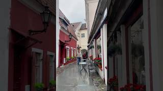 Walking through Estonia’s Historic Streets travel estonia nature europe walkthrough castle [upl. by Eseerehc]