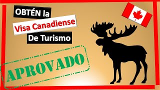 VISA DE CANADÁ I Guía general PASO A PASO [upl. by Anallese]