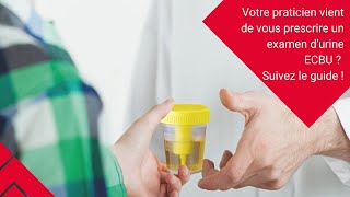 Votre praticien vient de vous prescrire un examen durine ECBU  Suivez le guide [upl. by Duile]