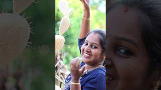 കൃത്രിമ കള്ളിമുൾ ചെടി  Cactus Plant Making  Eliza Creations shorts [upl. by Rao]