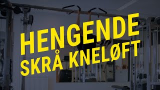 Hengende skrå kneløft Teknikk og utførelse  Gymgrossisten [upl. by Wenoa907]