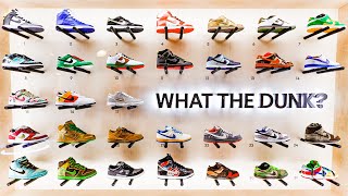 WHAT THE DUNK Nike SB Dunk Low EXPLAINED With Every Shoe [upl. by Ydnal]