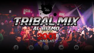 Tribal Mix Al Ritmo de Escapade 2001 Mix 2023  Dj Echo [upl. by Schulman]