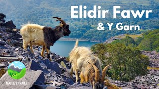 Elidir Fawr amp Y Garn  Wales  Hiking  4K [upl. by Sapienza]