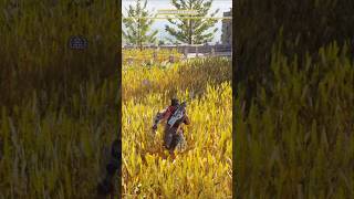 Eleusis Telesterion gaming assasinscreeds gameplay assasinscreedodyseeygameplay [upl. by Abdu5]