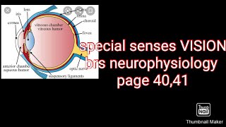 Refractive errors BRS PHYSIOLOGY page 4041fcps part1 preperation [upl. by Eerual]