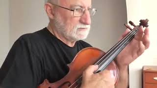 MUSICIAN D GRAY man 14th song violín Tutorial Prof JOAQUÍN BP [upl. by Okubo737]