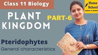 Plant Kingdom Class 11 Biology  Pteridophytes Part6 [upl. by Aelc41]