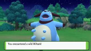 Shiny Miltank Pokémon Brilliant Diamond Pokeradar Chain 17 [upl. by Esilehc]