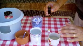 How to use PROPOLIS in our pigeons diet [upl. by Kidd]