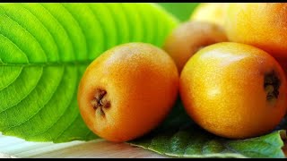 Джем из Мушмулы Medlar jam [upl. by Erde]