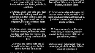 John 5  Audio Bible in Latin amp English of New Testament [upl. by Ssalguod603]