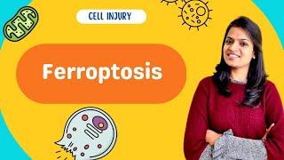 Ferroptosis  Free radical injury part 2 [upl. by Yraeg]