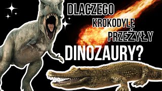 Dlaczego krokodyle przetrwały uderzenie asteroidy a dinozaury wyginęły [upl. by Trager]