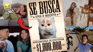 SE R0BARON A COPITO🐱😱 Broma a CECIA LOAIZA  KatiaVlogs [upl. by Erie665]