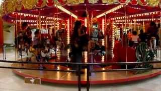 Panasonic LUMIX FZ200 Test Video High Speed Mode 120fps HD Carrousel [upl. by Nnaecyoj]