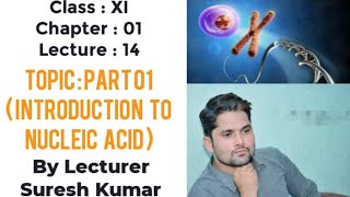 Nucleic acid class 11nucleic acid biochemistrySTB NCERT PTB FTBHindiUrdu By SirSuresh Kumar [upl. by Liam]